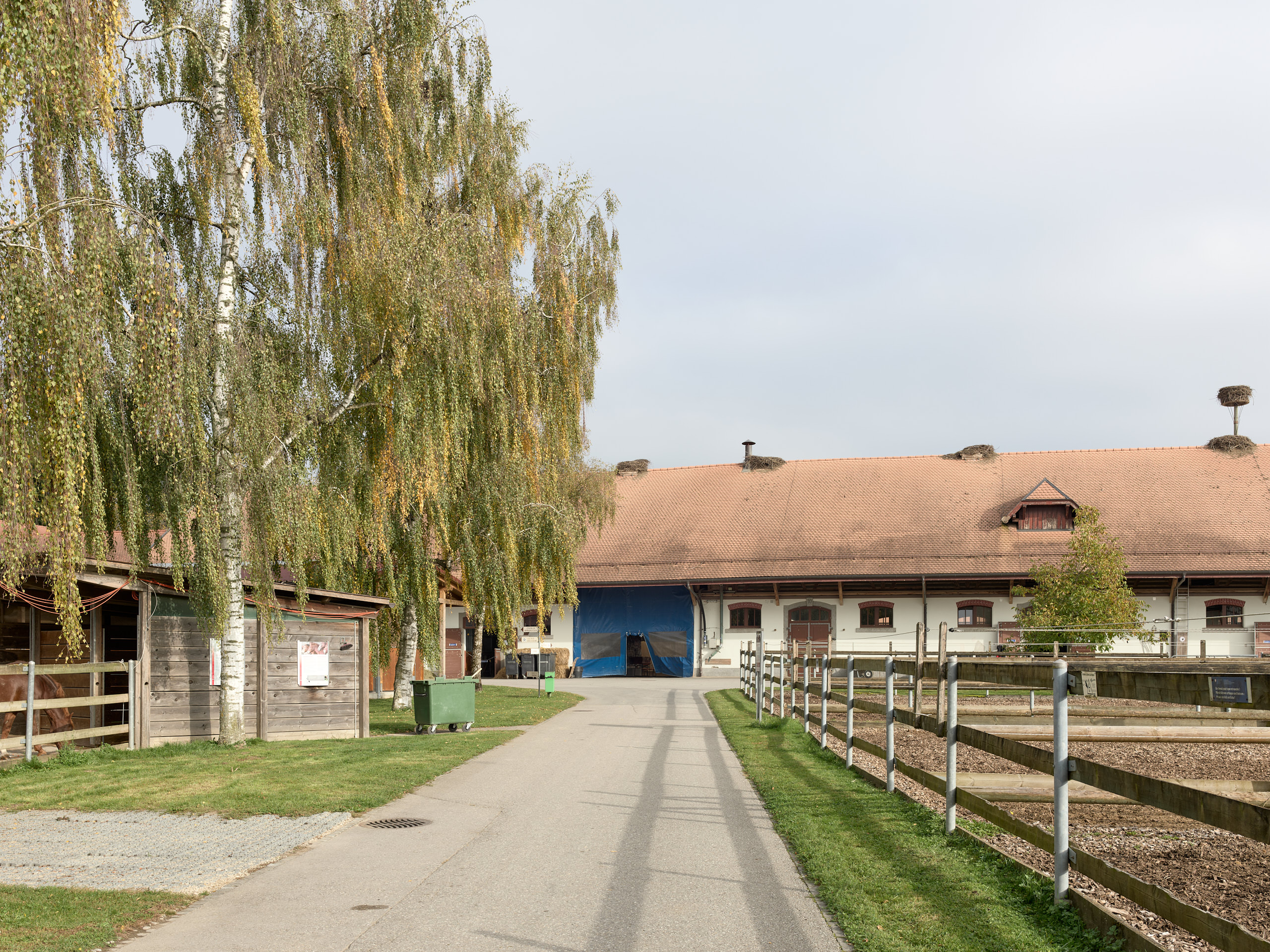 Haras National